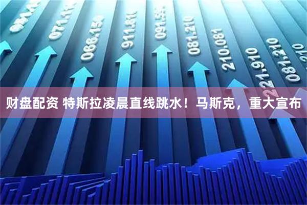 财盘配资 特斯拉凌晨直线跳水！马斯克，重大宣布