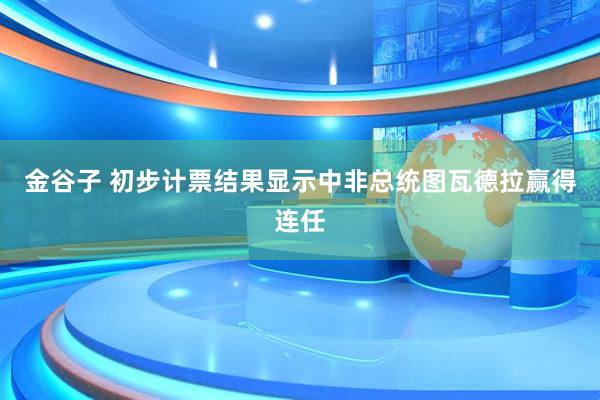 金谷子 初步计票结果显示中非总统图瓦德拉赢得连任